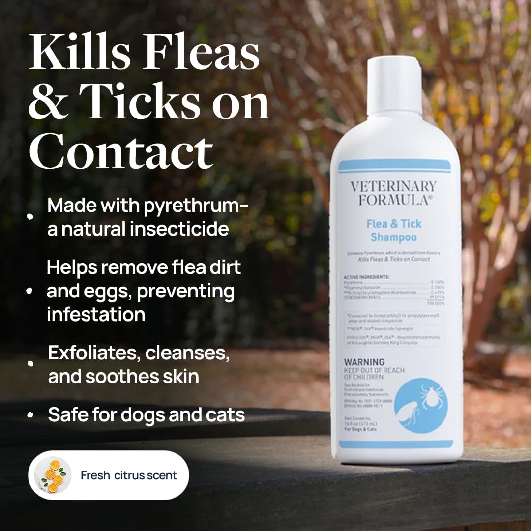 Veterinary Formula Flea and Tick Shampoo for Dogs and Cats, 16 oz