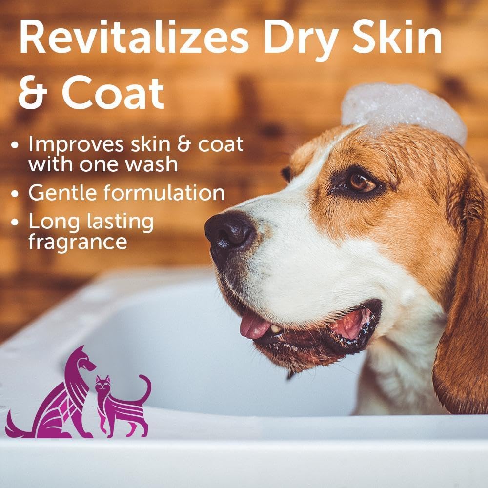 Nootie Cucumber Melon Pet Shampoo for Dogs & Cats, Gentle Oatmeal Formula | 16 oz, dog wash for sensitive skin, helps relieve dry itchy skin for dogs, natural ingredients, cleans & conditions