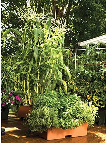 EarthBox® Container Gardening System - Green