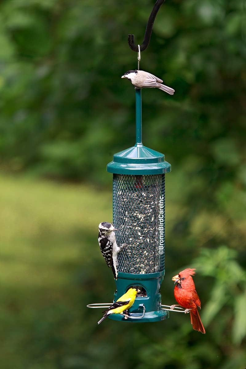 Squirrel Buster Legacy Squirrel-Proof Bird Feeder for Wild Birds – 4 Metal Removable Perches, 2.6 lb Seed Capacity, Chew-Proof Design, Easy to Clean, Green | Four removable metal perches, chew-proof construction, tool-free cleaning