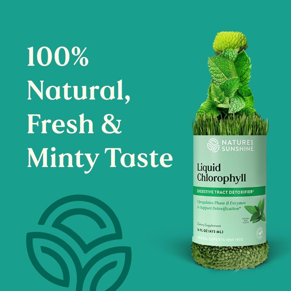 Nature's Sunshine Liquid Chlorophyll Extra Strength - Immunity Support, Detox & Cleanse, Chlorophyll Liquid Drops with Spearmint Oil, Natural Energy Boost, Internal Deodorant - 16 Fl Oz
