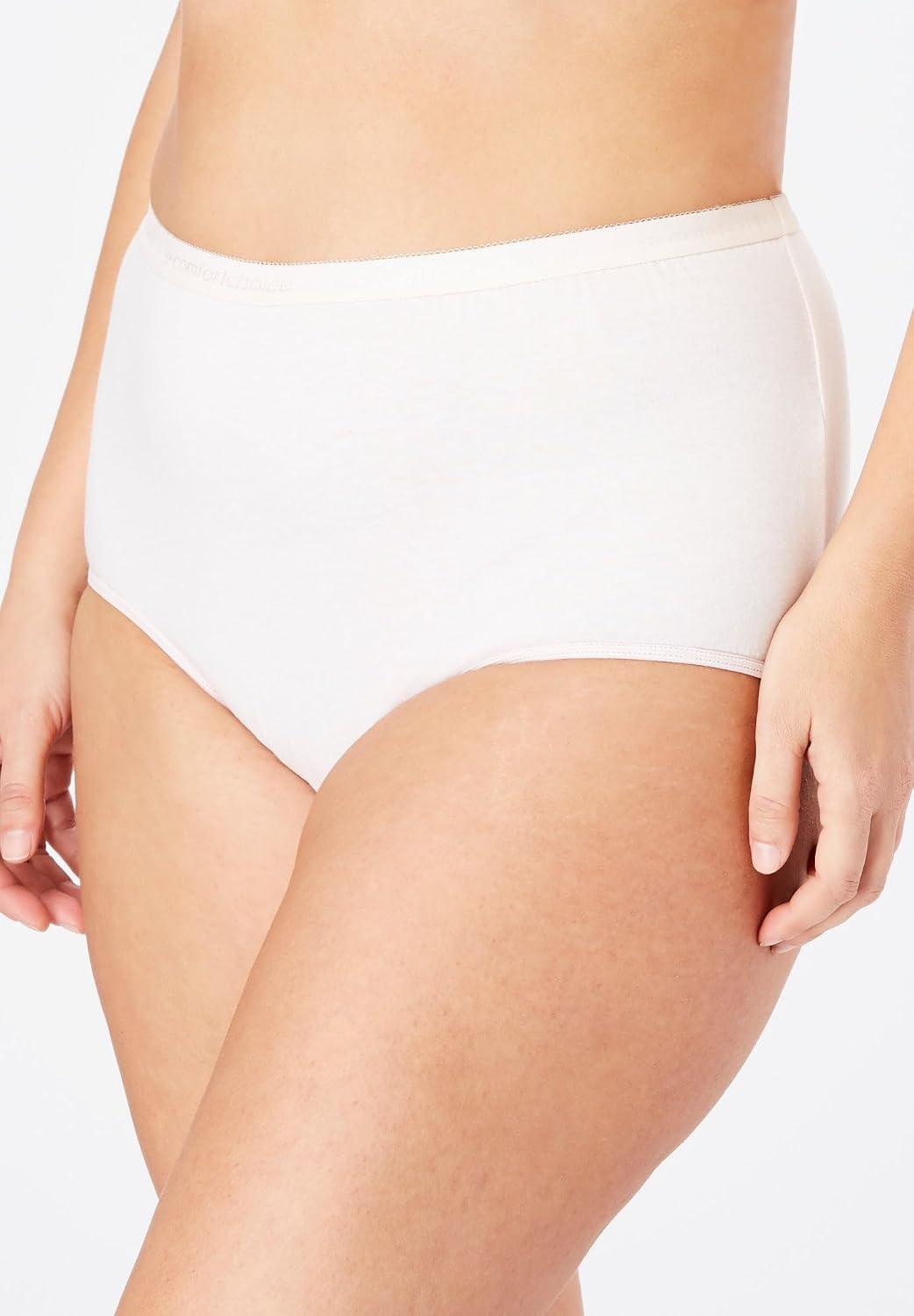 Comfort Choice Plus Size Full Coverage Nylon Brief 10-Pack