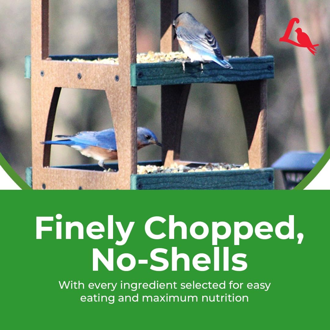 Lyric Fine Tunes Wild Bird Seed Mix - No Waste Bird Food Mix - Attracts Bluebirds, Finches, Chickadees & More - Seed for Outside Feeders - 15 lb Bag | Attracts Bluebirds, Finches, Chickadees and more - Seed for outside feeders
