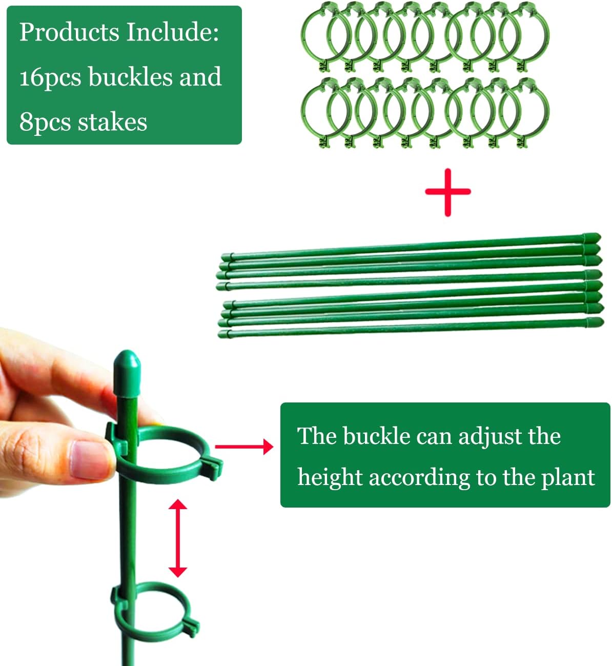Belit 8 Pack Plant Supports for Small Plants, Garden Flowers Green Plant Support Ring, Planter Support Ring for Schlumbergera, Clivia, Succulents