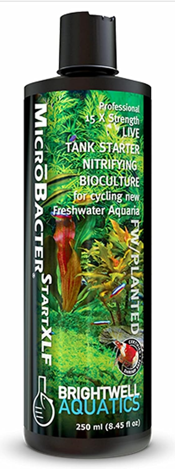 Brightwell Aquatics MicroBacter Start XLF Freshwater Tank Starter, 125 ml