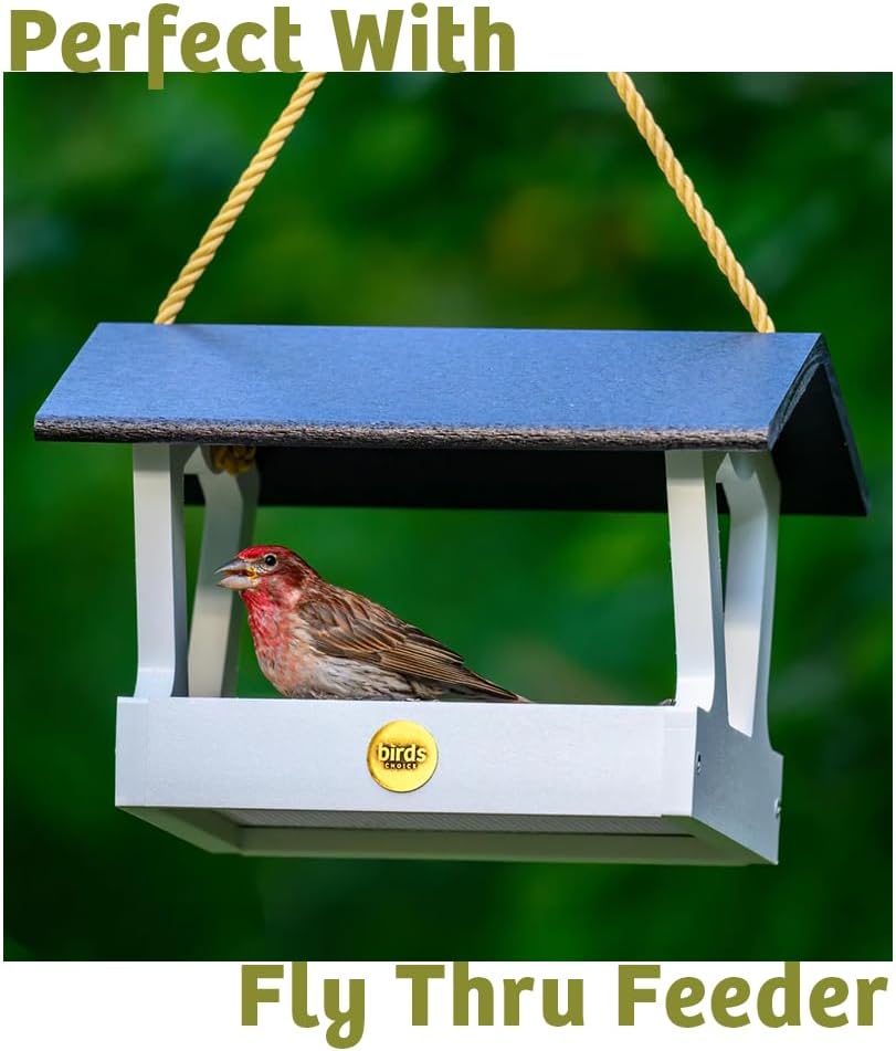 Birds Choice Bugs 'N Nuts Seed Cake | Wild Bird Food with Insects & Fruit | High-Energy Mix of Sunflower Chips, Peanuts