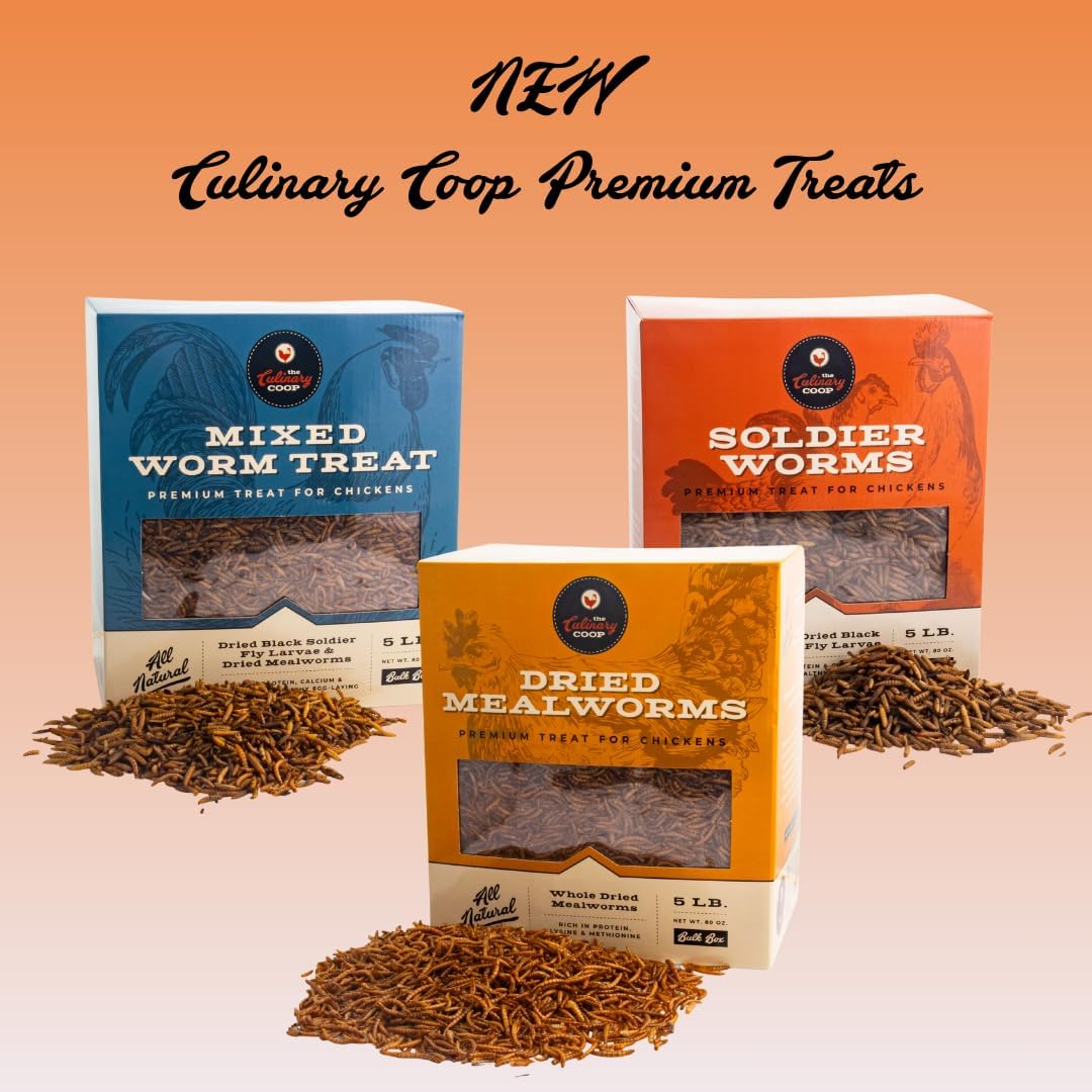 Fluker's Culinary Coop Premium Chicken Treats, Dried Soldier Worms, Packed with Protein and Calcium, 100% Natural Rich Grubs for Chicken, Backyard Birds, and Reptiles, 16 oz