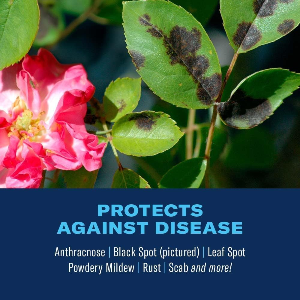 BioAdvanced 3-in-1 Insect, Disease, and Mite Control Spray - 24 fl oz | Insecticide, Fungicide & Miticide - Ready-to-Use - Prevents Pests and Diseases - Up to 30 Days Protection Bottle