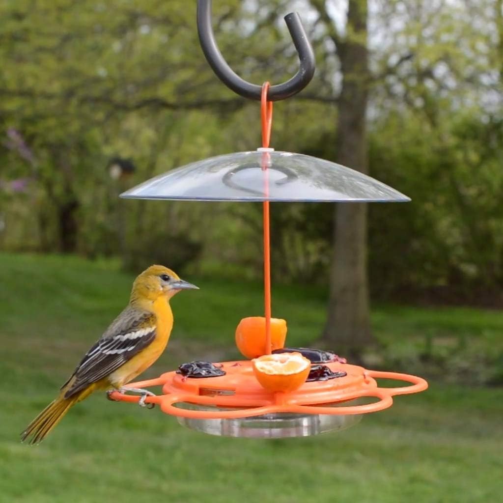 Nature's Way OFM1 Wire Oriole Feeder