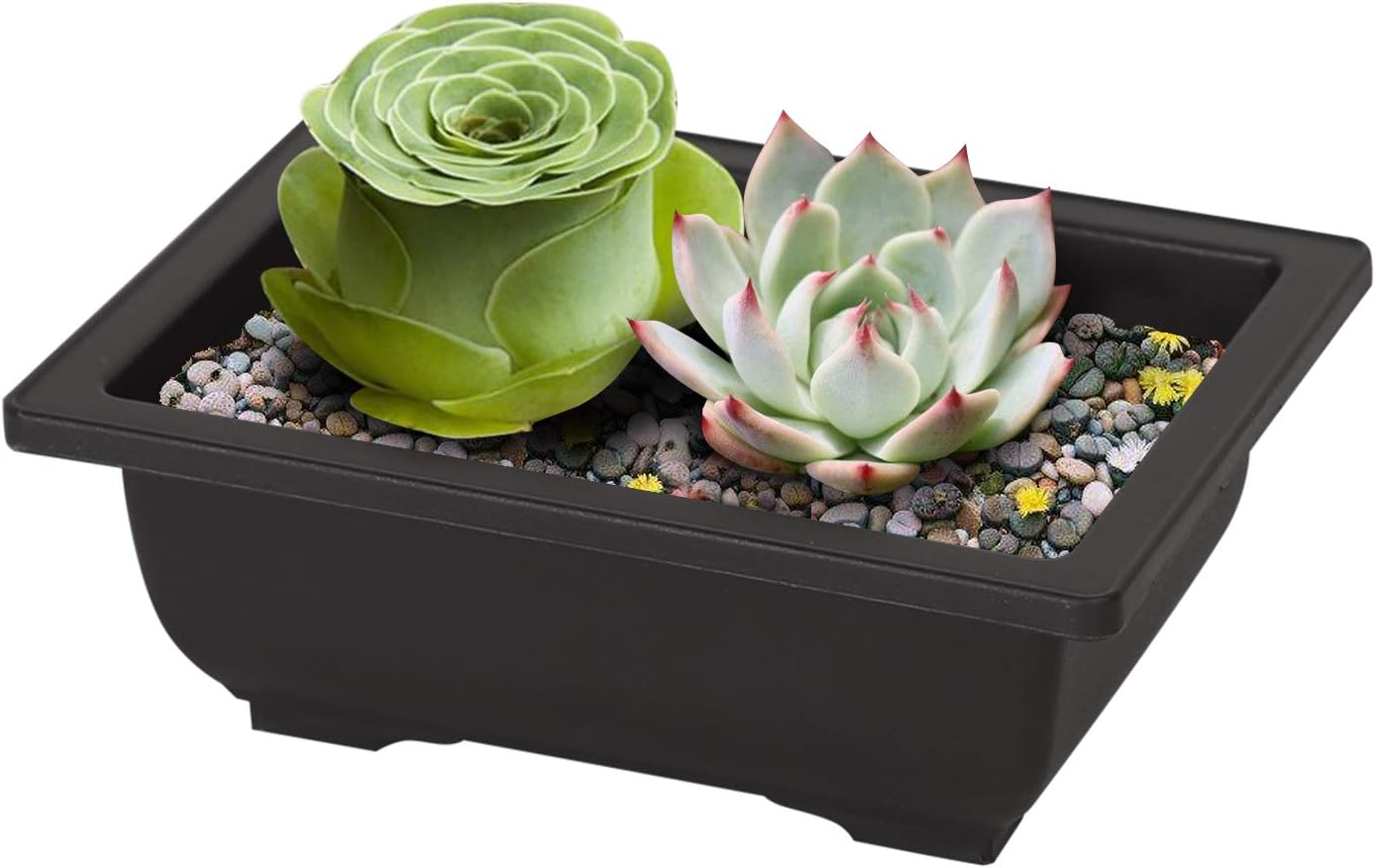 KINJOEK 25 PCS 6.5 Inch Plastic Bonsai Training Pots, Rectangular Plant Bonsai Tree Pot