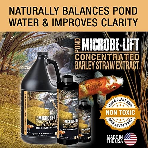 Microbe-Lift Concentrated Barley Straw Extract Conditioner for Ponds – 1 Gallon – Safe for Koi Fish, Plants & Decorations – Natural Pond Conditioner, Cost-Efficient & Organic Solution