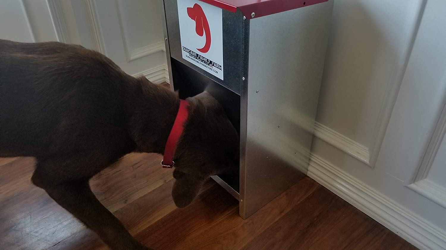Duncan's Dog Feeder - Galvanized Metal Pet Food Station for Outdoor or Indoor Use - Automatic Gravity Self Feeding Dispenser for Small, Medium