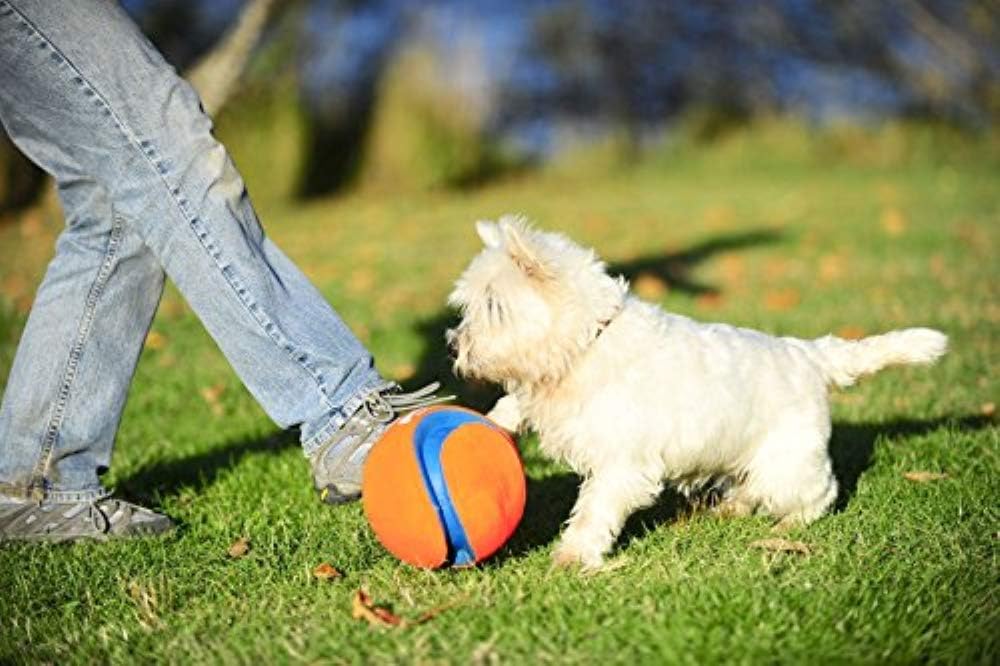 Chuckit! Kick Fetch Ball Dog Toy, Floats in Water, Large 8 Inch Diameter | Durable rubber and foam build, interactive play design, great for pool or lake sessions, built for big breed dogs each day