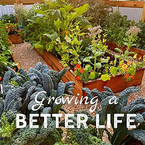 Sustainable Seed Co Emerald Giant Sweet Bell Pepper Seed - 1 OZ 3,360 Seeds | Non-GMO, Heirloom, Open-Pollinated Vegetable Seeds for Gardening - Easy to Grow, Perfect for Farm and Home Gardening