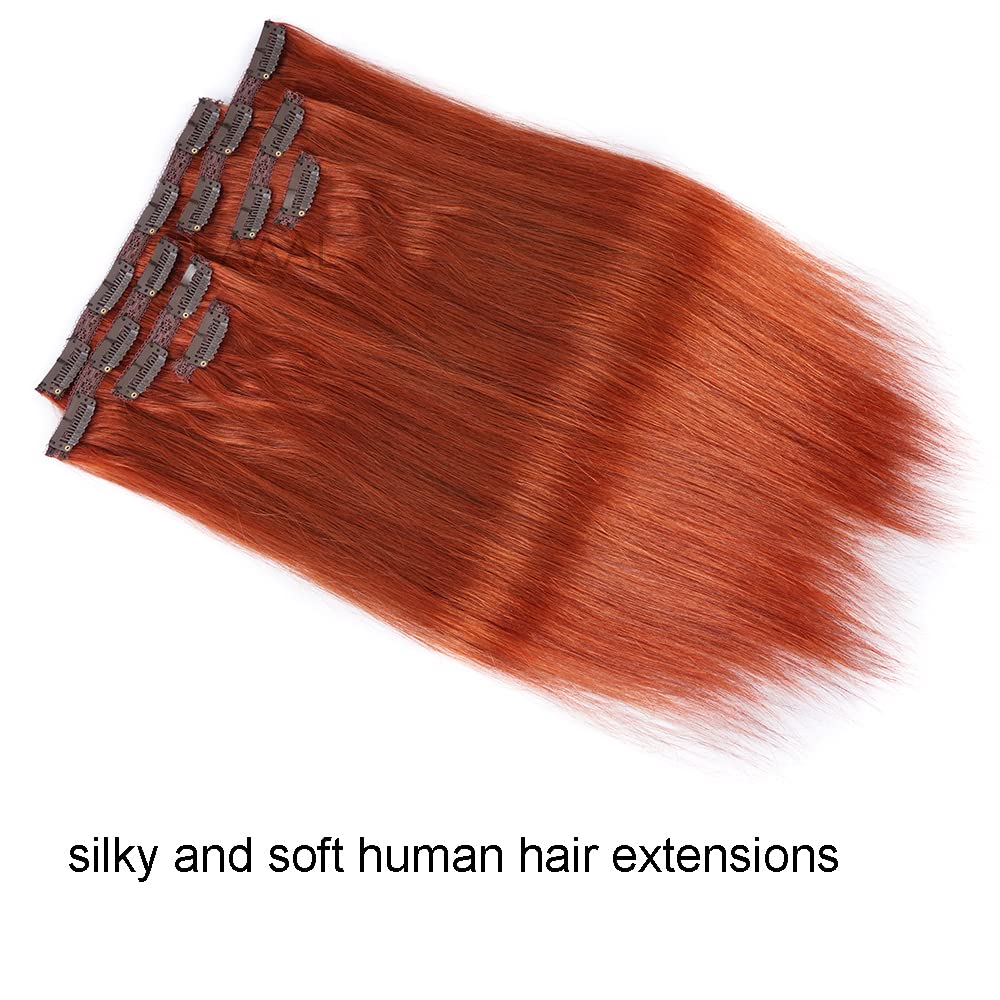 22" Clip in Human Hair Extensions Full Head 200g 10 Pieces 22 Clips Light Brown Double Weft Brazilian Real Remy Hair Extensions Thick Straight (22"