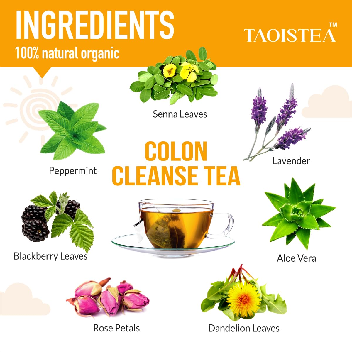TAOISTEA 14 Day Detox Tea for Weight Loss, Body Cleanse, Metabolism Boost - Morning Boost and Night Cleanse Teas