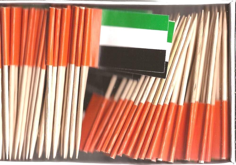 One Box of 100 Nicaragua Toothpick Flags, 100 Small Mini International Flag Cupcake Toothpicks or Cocktail Picks