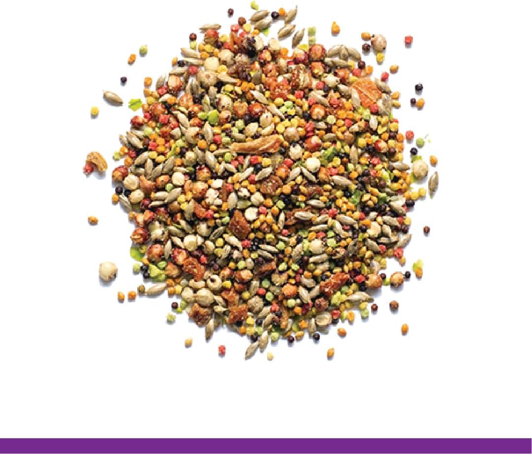 ZuPreem Sensible Seed Parakeet & Budgie Food, Variety Mixer, Small, 2 lb | Bird Food Mixer, Parrot & Parakeet Food, Budgie, Treats, Pellet Mix, Pumpkin Seeds, Safflower, Variety, Made in USA