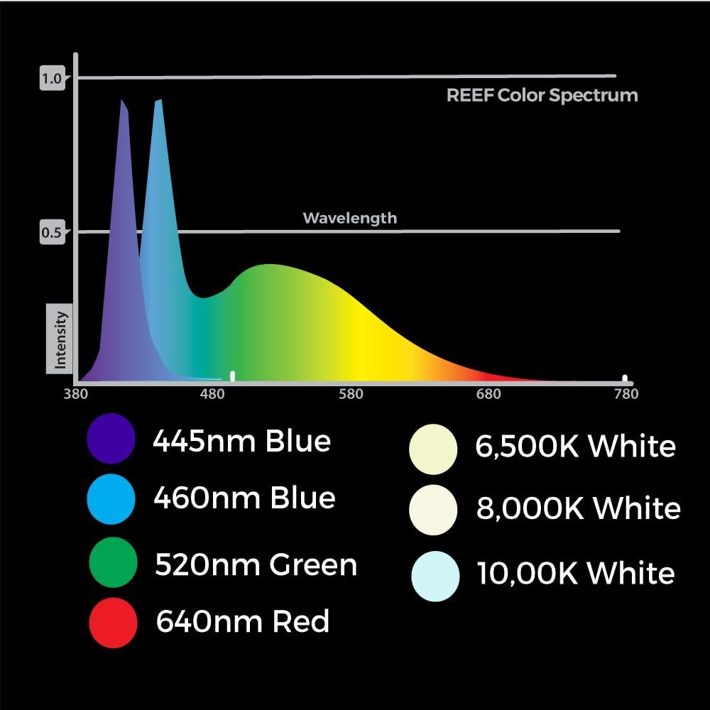 Current USA 24-36" Inch Orbit Marine LED Saltwater Reef Marine Aquarium Light | 24 Hour IR Lighting & eFlux Wave Pump Control | Adjustable Color Spectrum for Fish Tank (4101)