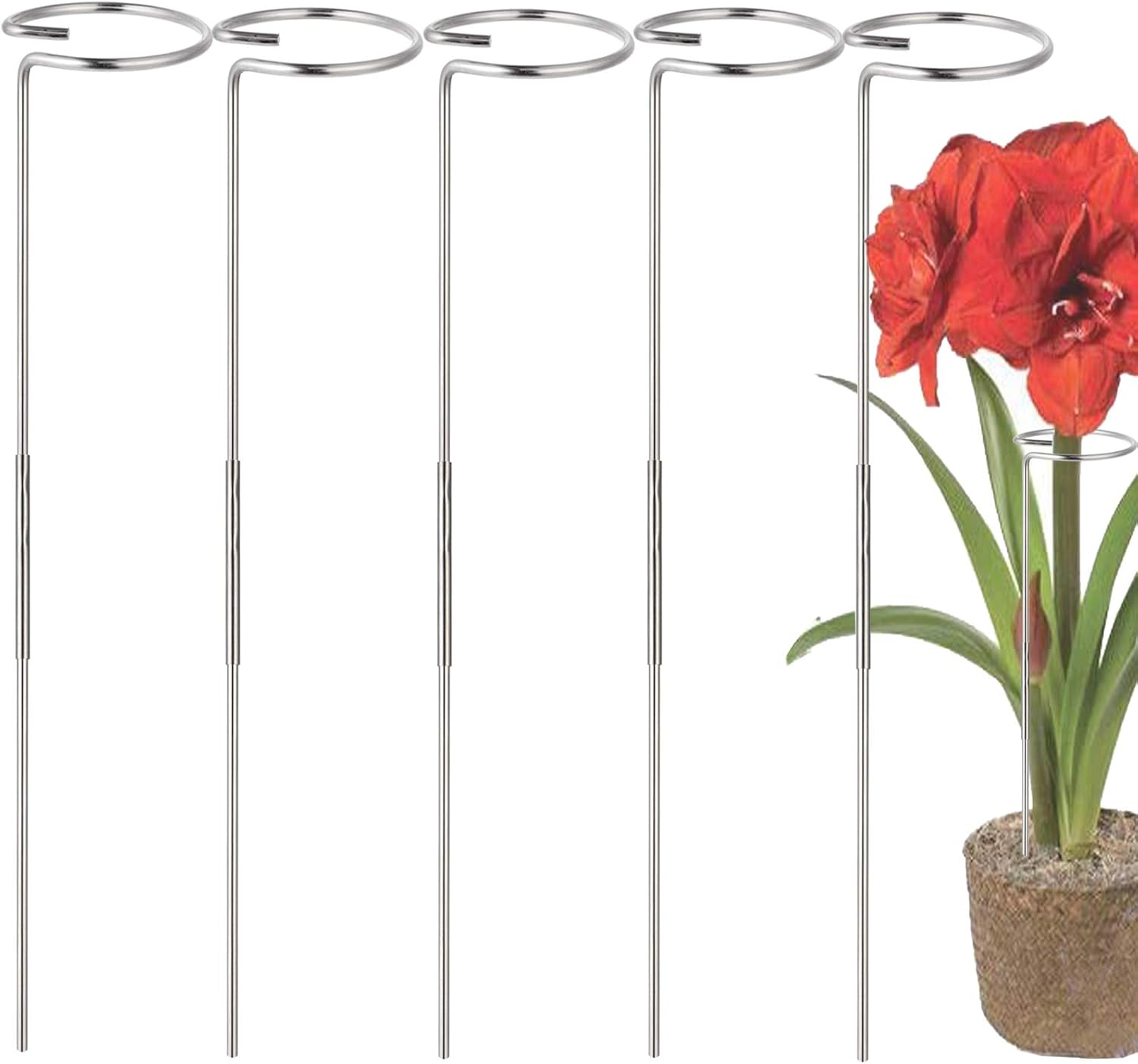 30 Inch Or 16 InchPlant Stakes for Flowers - 5 Pack, Adjustable Height
