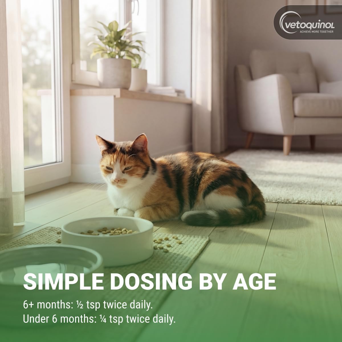 Vetoquinol Viralys - Lysine Supplement for Cats & Kittens - Supports Eye Wellness