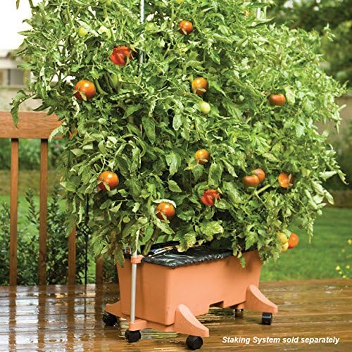EarthBox® Container Gardening System - Green