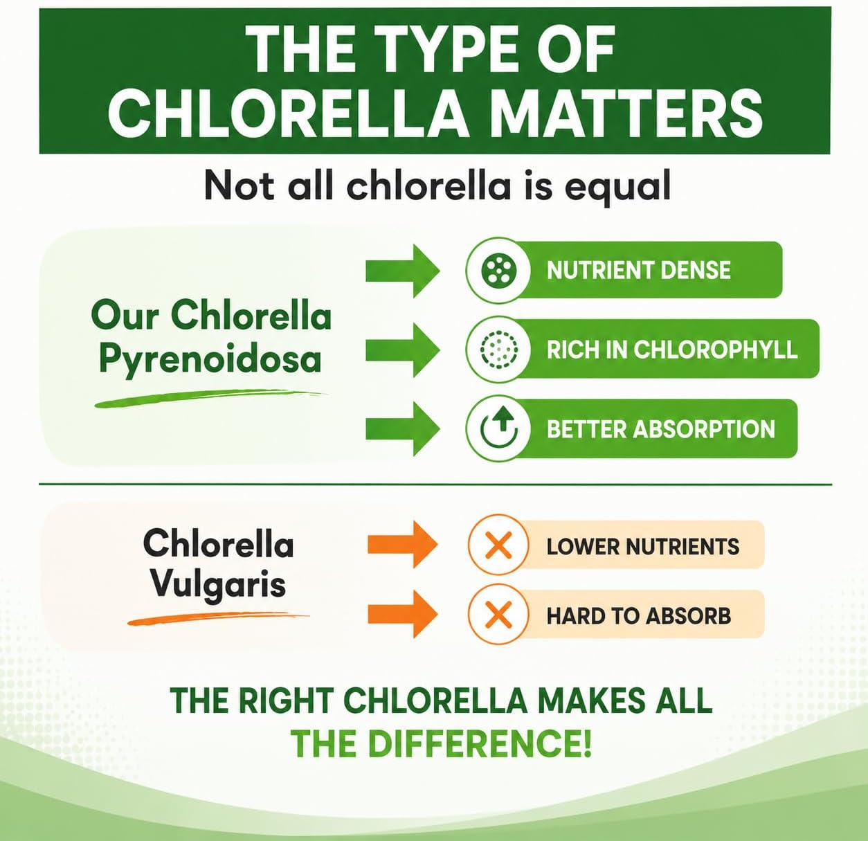Chlorella Capsules 3000 mg - Cracked Cell Wall Blue Green Algae Supplement - Best Natural Detox Cleanse - Plant Vitamins Minerals Chlorophyll Vegan