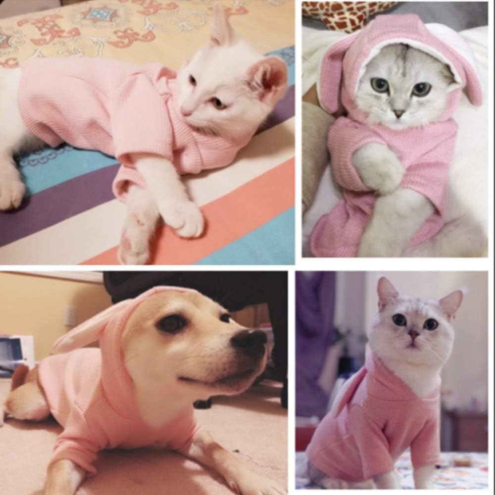 ANIAC Dog Hoodies Sweatshirt with Bunny Ears Spring Puppy Clothes for Small Dog Girl Boy Soft Doggy Sweater Cat Apparel Pet Clothing for Kitten