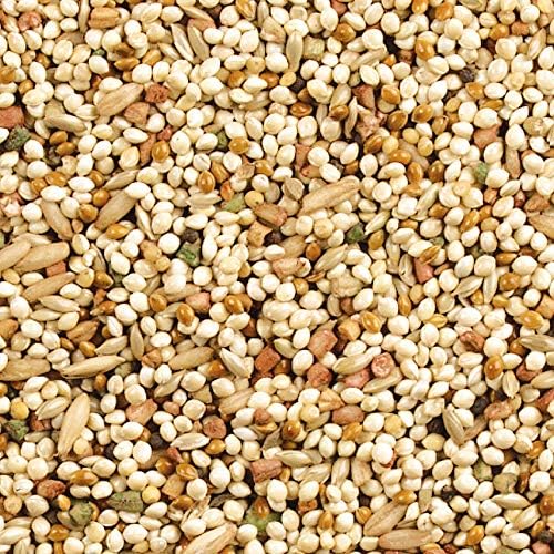 Wild Harvest Daily Blend Nutrition Diet Parakeet, Canary And Finch, Bird Food, 5 Pounds