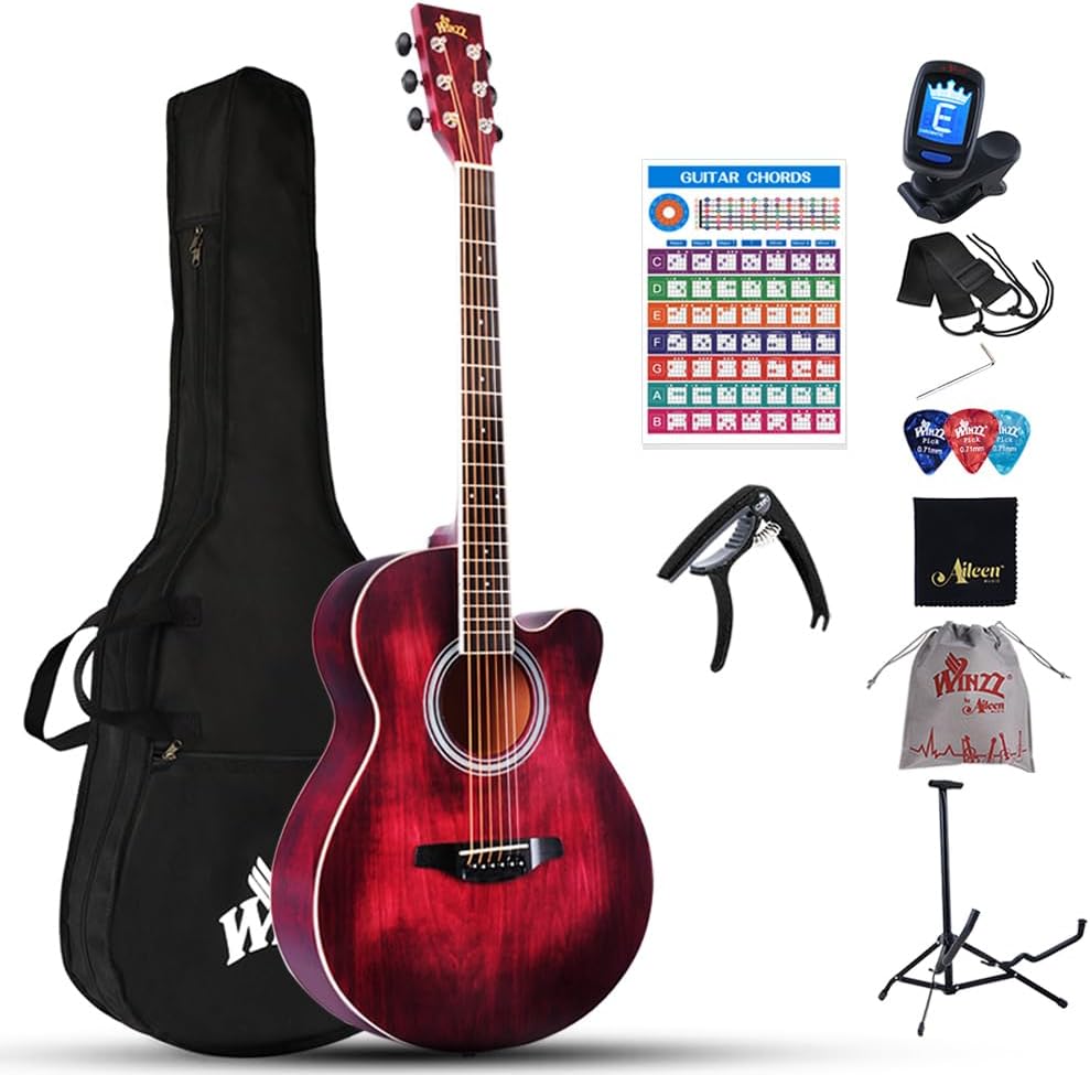 Winzz 40 Inches Acoustic Steel-string Guitar Beginner, Elegant Unique Color Design (Blue-green)