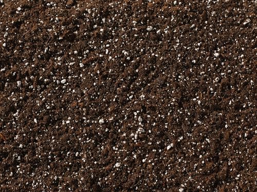 SunGro Horticulture Potting Mix - Natural & Organic, Black Gold - 8qt - Earthworm Castings, Perlite