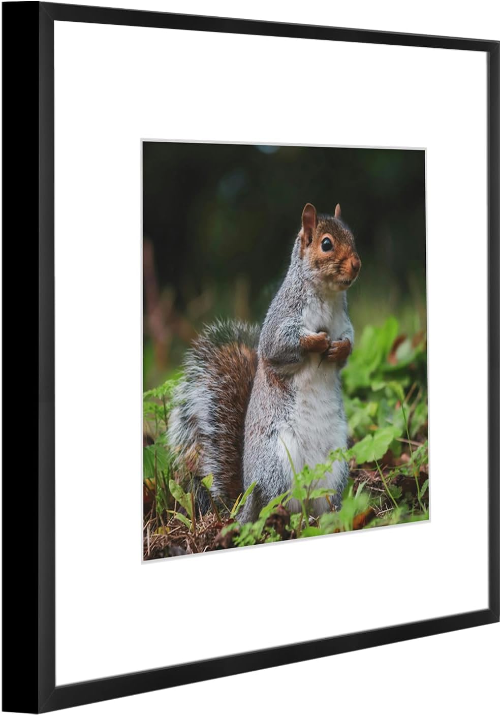 Golden State Art 3 Pack 12x12 Black Aluminum Frames, Real Glass Fronts