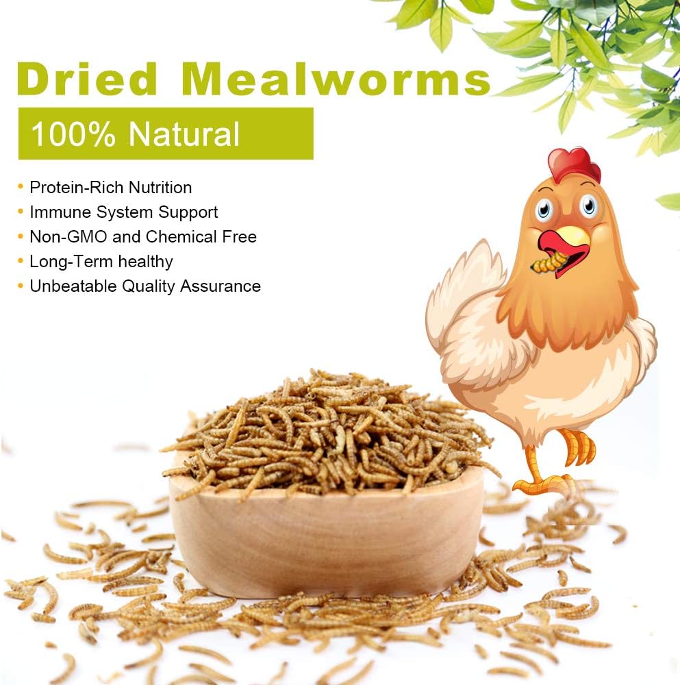20lb Dried Mealworms for Chickens Duck High Protein Birds Treat