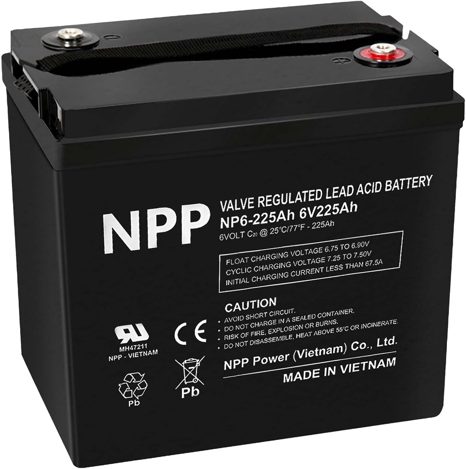 NPP 6V 225Ah AGM SLA Battery with T16 (M8) Terminal for Golf Cart (2 Pcs)
