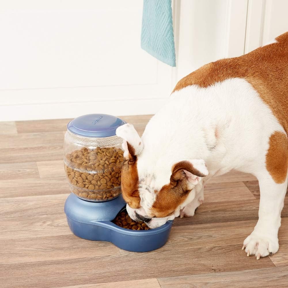 Petmate Replendish Feeder Automatic Cat and Dog Feeder, Pearl Peacock Blue, 10 LB, Made in USA