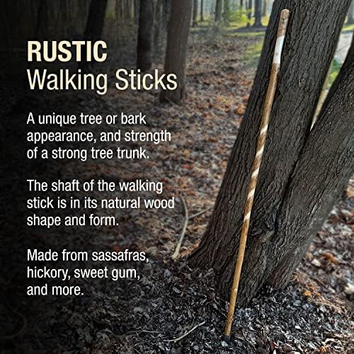 Brazos Rustic Wood Walking Stick, Maple, Traditional Style Handle, for Men & Women, Made in The USA, 55"