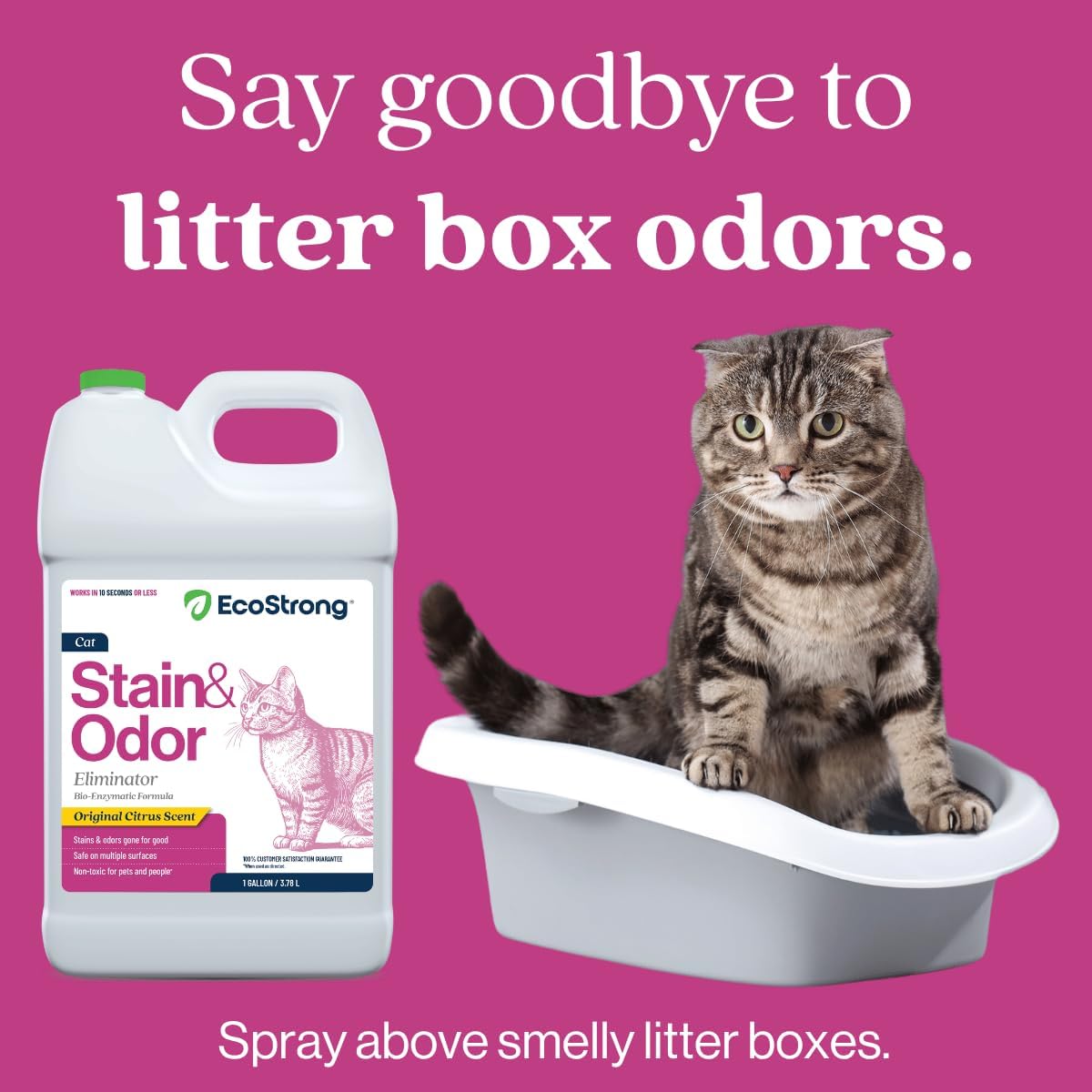 Eco Strong Cat Stain And Odor Remover| Enzyme Urine Odor Neutralizer - Stain Remover for Carpet, Litter Boxes, Bedding