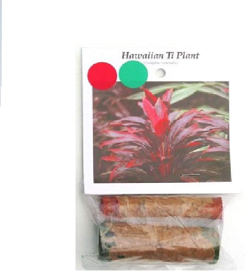 Red & Green Hawaiian "Good Luck" Ti Plant Starter Logs
