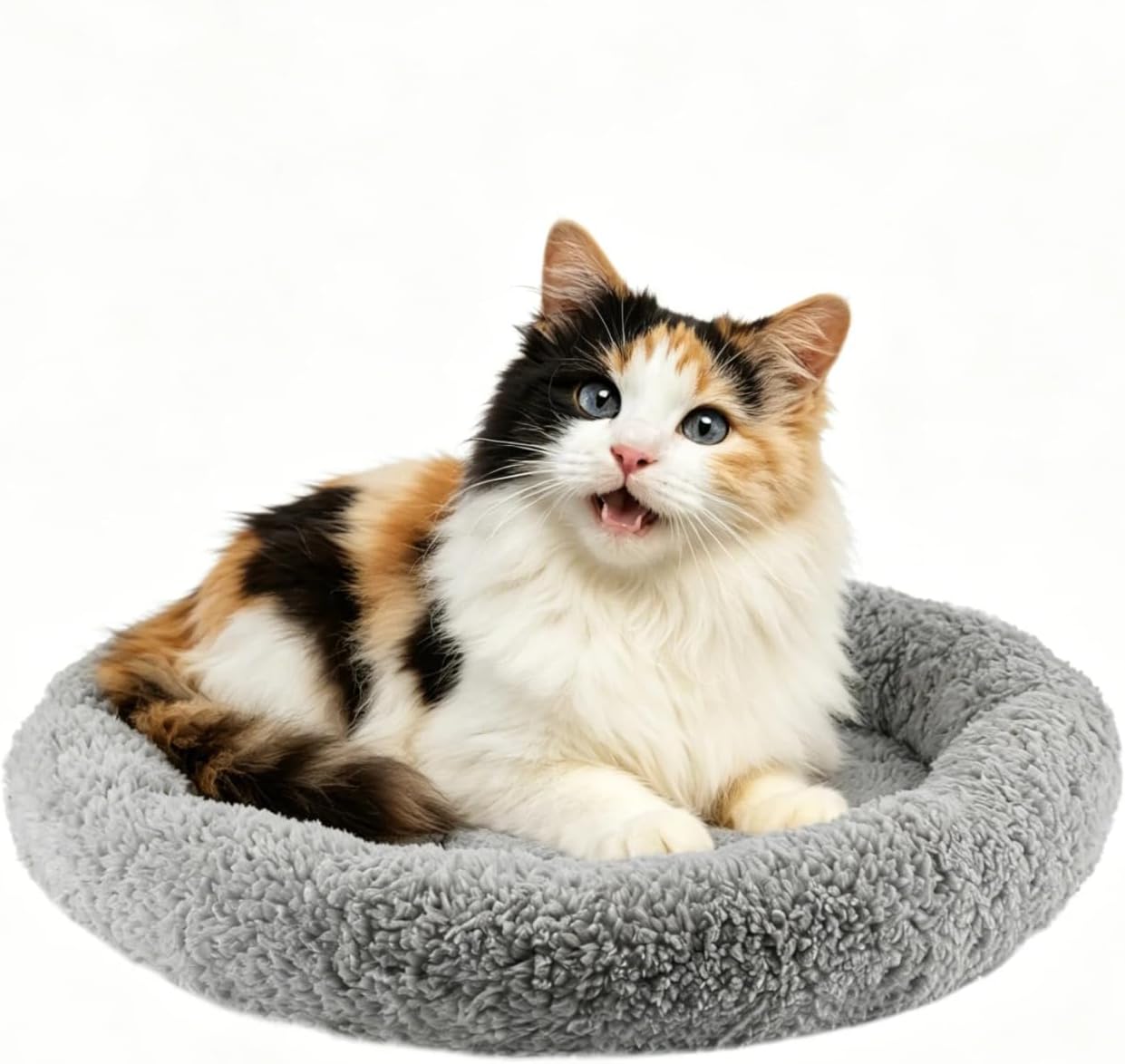 LESYPET Cat Bed for Indoor Cats, Soft Cat Cushion with Cat Pillow Around, Rectangle Kitten Pad Small Bed for Window Sill, 15'' x 10''