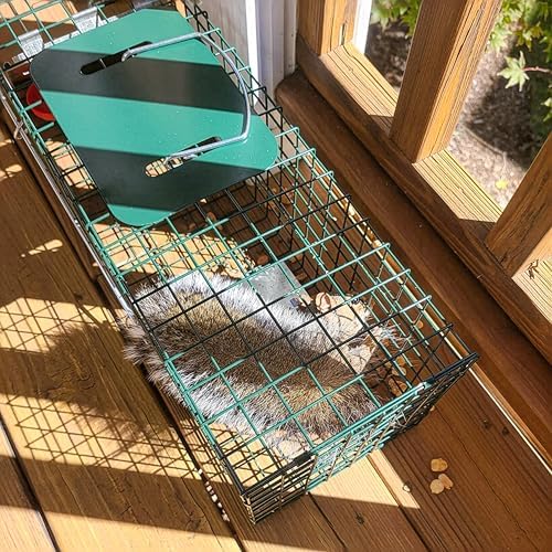 HOMESTEAD Heavy Duty Live Trap - Professional Style One-Door Live Animal Traps for Rabbit, Squirrel, Possum, Skunk, Kitten, Mink Small
