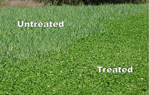 Whitetail Institute Arrest Max Selective Grass Control Herbicide Specifically Developed for Deer Food Plots, 1 Pint