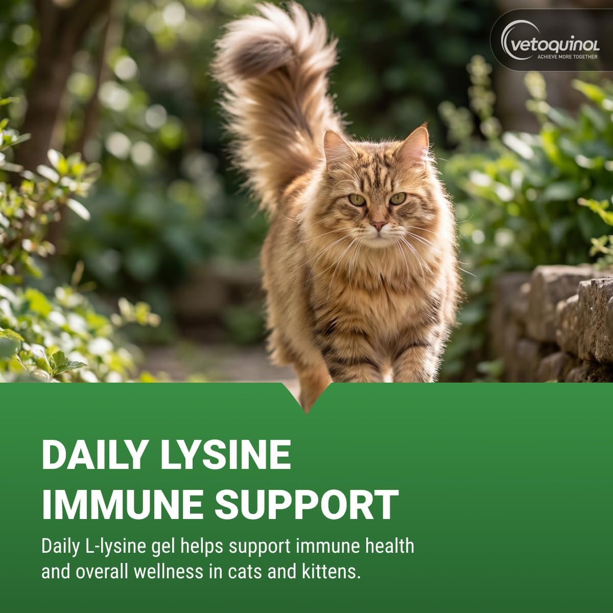 Vetoquinol Viralys - Lysine Supplement for Cats & Kittens - Supports Eye Wellness