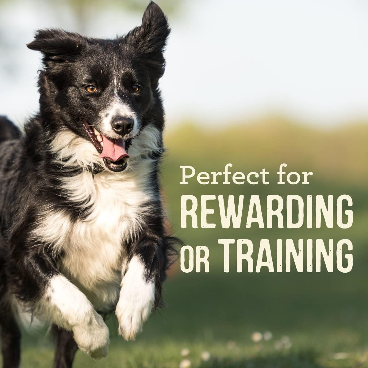 Merrick Power Bites Salmon Grain Free Dog Treats 6 oz Bag | Wholesome and flavorful dog treats made with salmon as the #1 ingredient, perfect for anytime snacking or training rewards