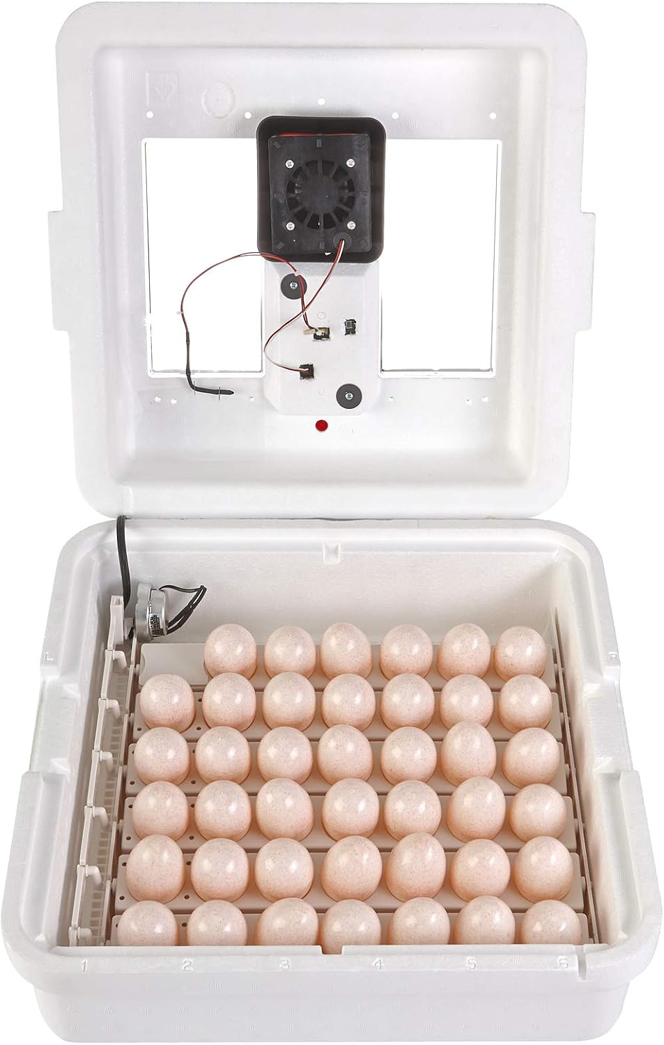 Little Giant White Miller Manufacturing Company 9300 Digital Still Air Incubator