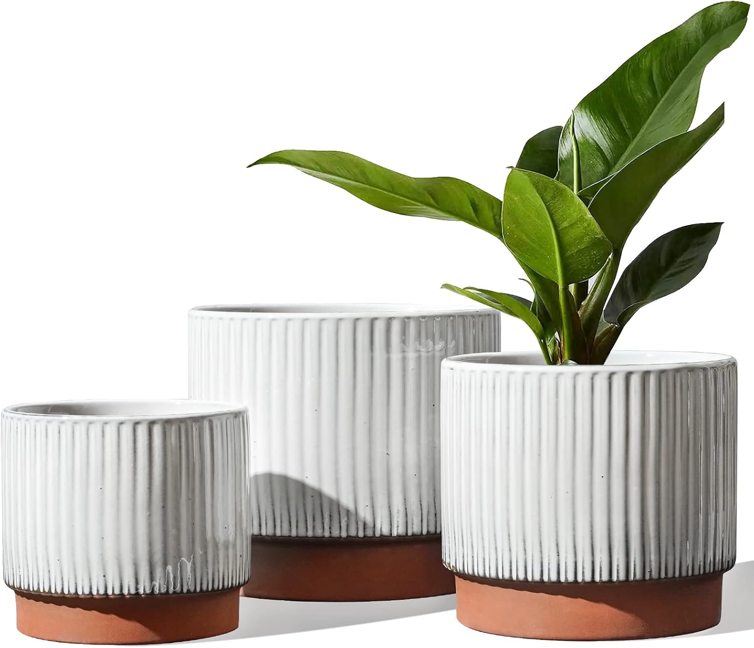 LE TAUCI Ceramic Plant Pots with Drainage Holes, Set of 3, 8+6.7+5.5 Inch Stripe Garden Planter Pots for Outdoor Indoor Plants Flower