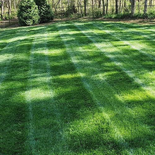 Outsidepride Midnight Kentucky Bluegrass Seed - 10 Lbs. Cold & Drought Tolerant, Sun-Loving Lawn Grass Seed, w/High Traffic Tolerance & Deep Root System, OptiGrowth Coated for Better Establishment