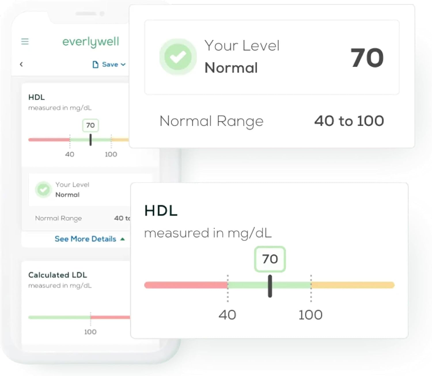 Everlywell At-Home Cholesterol and Lipids Lab Test Collection Kit for Women and Men, Measures HDL