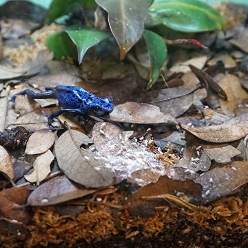 SRP00200 Phosphorous-Free Calcium Ultrafine Powder Reptile/Amphibian Supplement with Vitamin D3 | Reptile/Amphibian Supplement with Vitamin D3