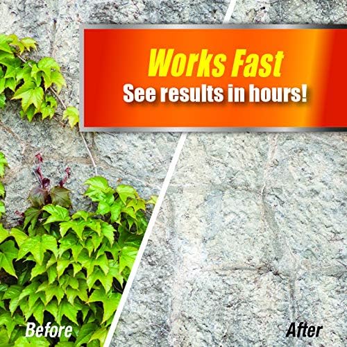 PWBV-B-128-S, Brush & Vine Ready to Use Weed Killer, Clear