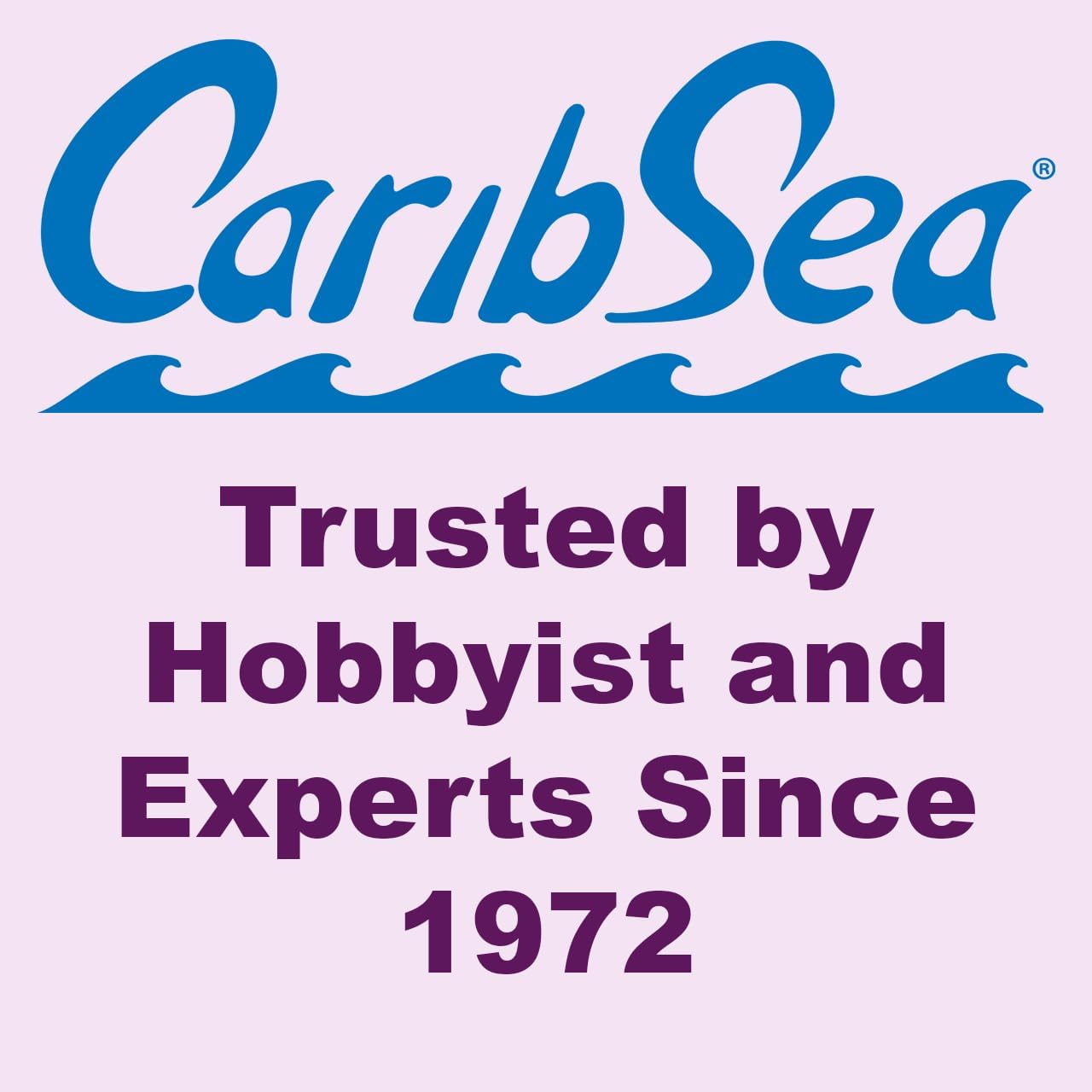 CaribSea LifeRock™ Shelf – 40 lb – Clean and Pure Aragonite Base Rock – Ideal for Fish and Reef Tanks – Supports Faster Cycling